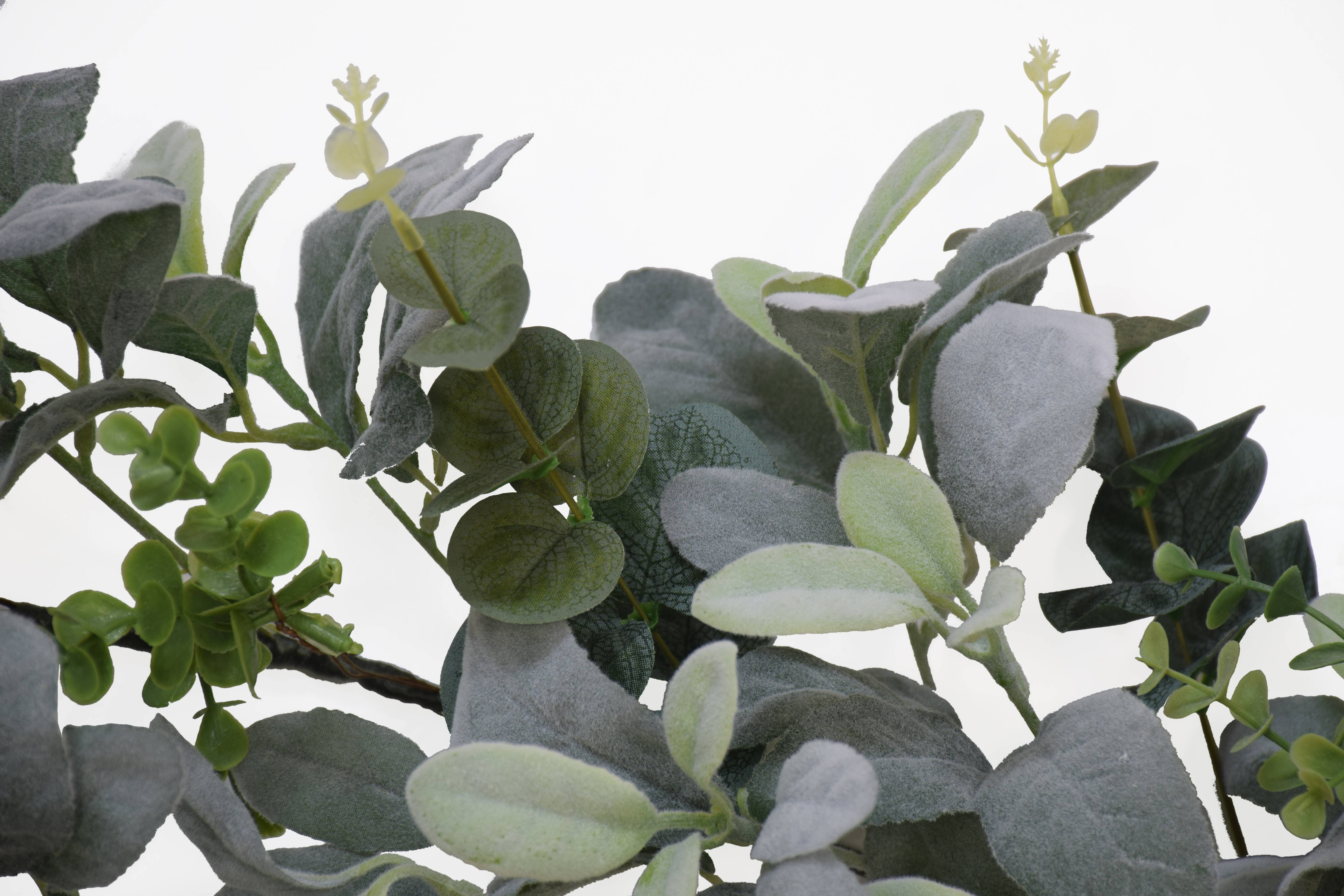 6ft x 10" Lambs Ear Garland